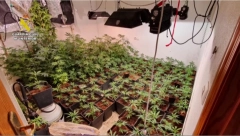 ODAO IH MIRIS I VELIKA POTROŠNJA STRUJE U okolini Madrida uhapšeni i Srbi zbog droge