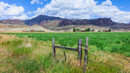 VESKO DAJE 700 EVRA DA MU NEKO ODRŽAVA DEDOVINU! Uspešan biznismen u Americi ima ponudu za rodni kraj, ali uz jedan uslov!