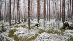 DIŽE SE NOVA GVOZDENA ZAVESA U EVROPI! Pet evropskih zemalja diže zid prema Rusiji dugačak stotine kilometara!