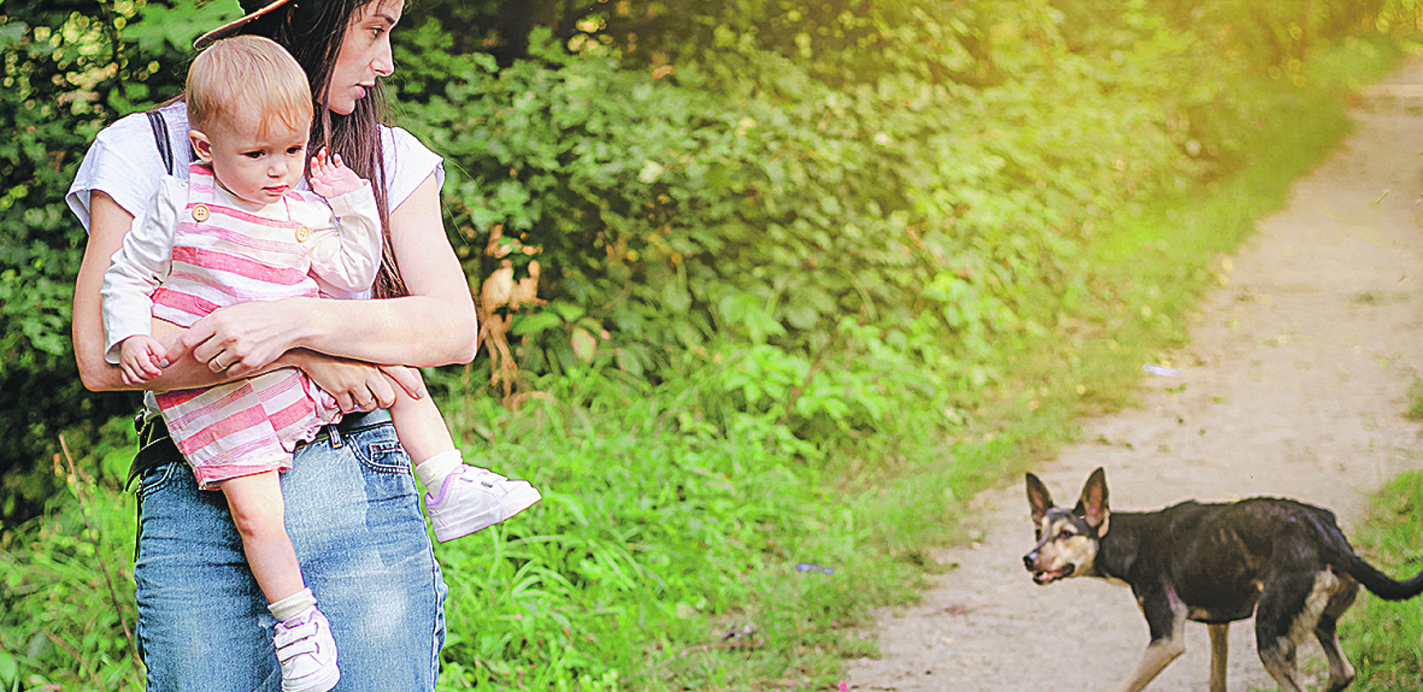 NA OVU REČ SE UKOPAJU U MESTU Kako se odbraniti od agresivnih pasa