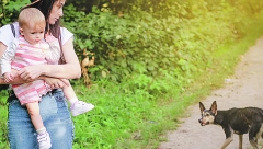 NA OVU REČ SE UKOPAJU U MESTU Kako se odbraniti od agresivnih pasa