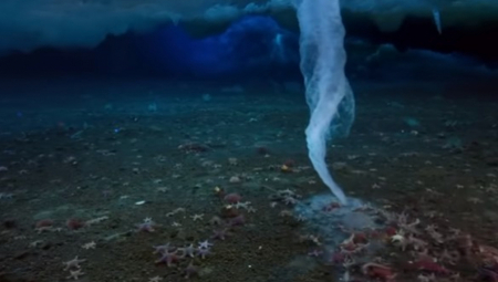 ZASTRAŠUJUĆI "LEDENI PRST SMRTI" Neobičan prirodni fenomen koji ubija sve pred sobom