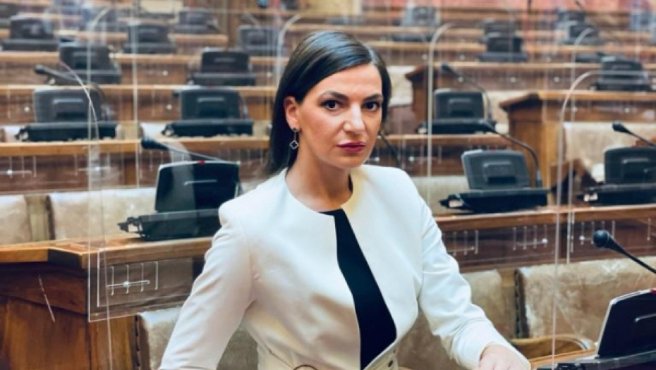 Nikolić: Lažnim patriotama bitno samo da dođu na vlast