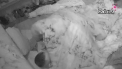 ZATRESLI IZOLACIJU! Filip i Maja u nikada žešćoj akciji, Aleksandri neće biti dobro kad sazna za ovo (VIDEO)