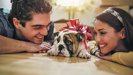Imaju svoj način: Kako psi biraju omiljenu osobu?