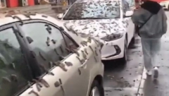 JEZIVO! Kada su videli kakva je kiša počela da pada smučio im se život! (VIDEO)