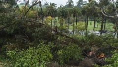 ŠEVRON MORA DA PLATI 63 MILIONA DOLARA Ispustili otrov kod vode u kojoj se kupao, sada umire, ali umire bogat