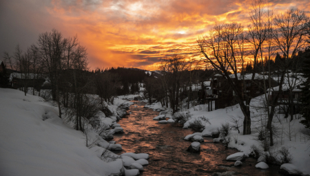 IZDRŽAO 10 DANA BEZ HRANE U DIVLJINI Krenuo u divljinu samo sa šeširom i makazama, usledila je borba za život