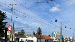 BOMBA U BEČU Desnica počistila konkurenciju na izborima