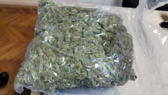 SREMSKA MITROVICA: Zaplena marihuane, uhapšen osumnjičeni