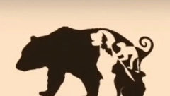 OPTIČKA ILUZIJA KOJA JE ZALUDELA SVET Samo 1 posto ljudi može da vidi sve životinje na slici