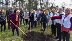 Stefan Krkobabić: Dren – simbol zdrave i prosperitetne Srbije!
