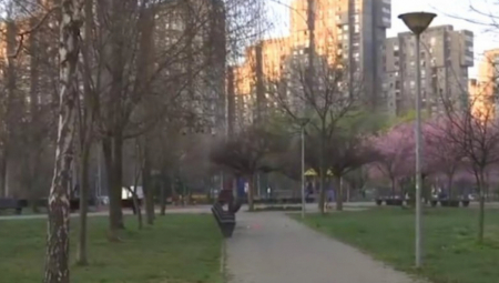 BIZARNO! LEŠ MAJKE VOZILA U KOLICIMA ZA PIJACU Želela telo da sahrani u parkiću kod svoje zgrade