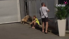 DAO SVOJ SUD Miljan Vračević detaljno analizirao poklenu trojku, evo koja je sličnost Zvezdana i Slobe