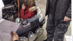 UŠLA U AUSPUH Srpski carinici otvorili haubu i imali su šta da vide