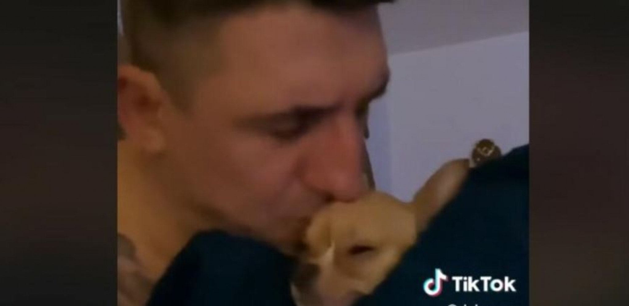 KRISTIJAN JECAO NAD MRTVIM PSOM, FANOVI GA NAPALI: "Sram te bilo, imaš decu, a kukaš nad ljubimcem!"