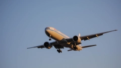 CARINICI POPADALI OD SMEHA Žena sela u avion, a kada su sleteli shvatila je šta je uradila!