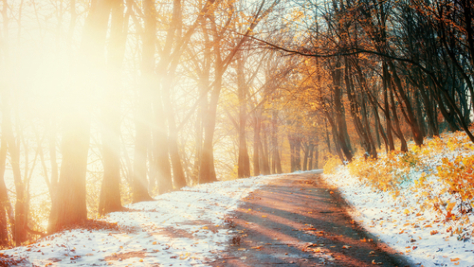 SNEG OKOVAO ŠVEDSKU Na severu obustavljen saobraćaj, na jugu plus 25 stepeni (VIDEO)