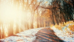 ŠTA ZNAČI KAD PADNE SNEG U MARTU? Staro srpsko narodno verovanje ima više tumačenja