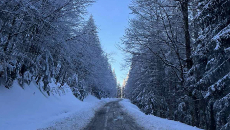 ODSEČENA DVA DOMAĆINSTVA Drama kod Surdulice, dvojica muškaraca zavejana u kućama, vatrogasci izašli na teren