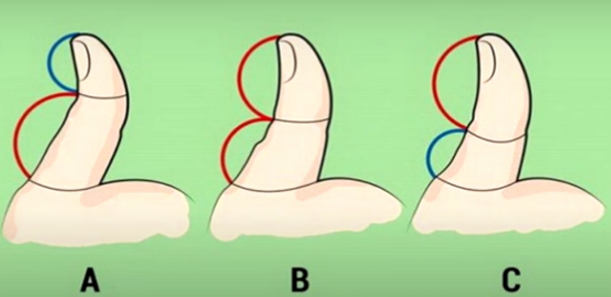 OVO NISTE ZNALI Palac otkriva kakvi ste u ljubavi