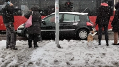 STIŽE LEDENA ZIMA U SRBIJU Nakon mini-proleća u decembru, NAGLI prelaz od ovog datuma