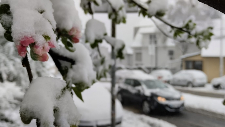 BIĆE OBOREN REKORD Ovoliko snega u aprilu nije palo u poslednjih 150 godina