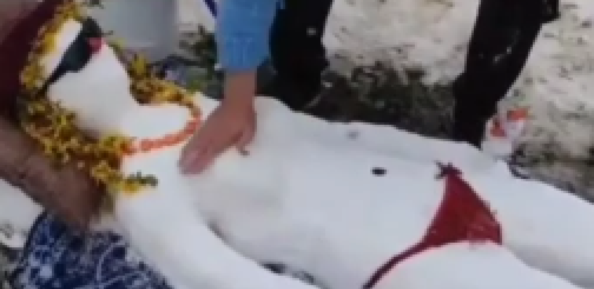 Umesto Sneška Belića napravio Cicu