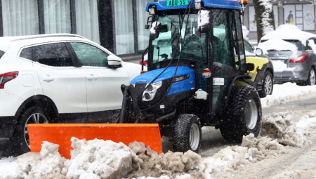 DRVO PALO NA AUTOMOBIL Nezgoda na Karaburmi: Pukom srećom izbegnuta tragedija!