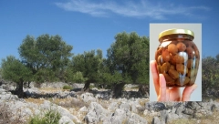 NE BACAJTE PARE Ovo su najveće zablude vezane za maslinovo ulje, a jedna se odnosi na prženje