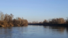 PRETE NAM NOVE POPLAVE?  Zbog obilnih kišnih padavina izlila se Zapadna Morava kod Požege