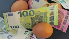 ONI PLAĆAJU NAJSKUPLJA JAJA U EU Skuplja su za 23 odsto nego u susednoj Sloveniji