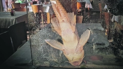 Iako dubi naopačke i ne mrda ni za živu glavu, nije gimnastičar već čistač