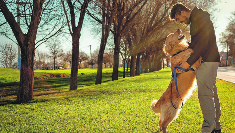 ROĐENI ZAŠTITNICI: Rase pasa koje važe za najbolje čuvare