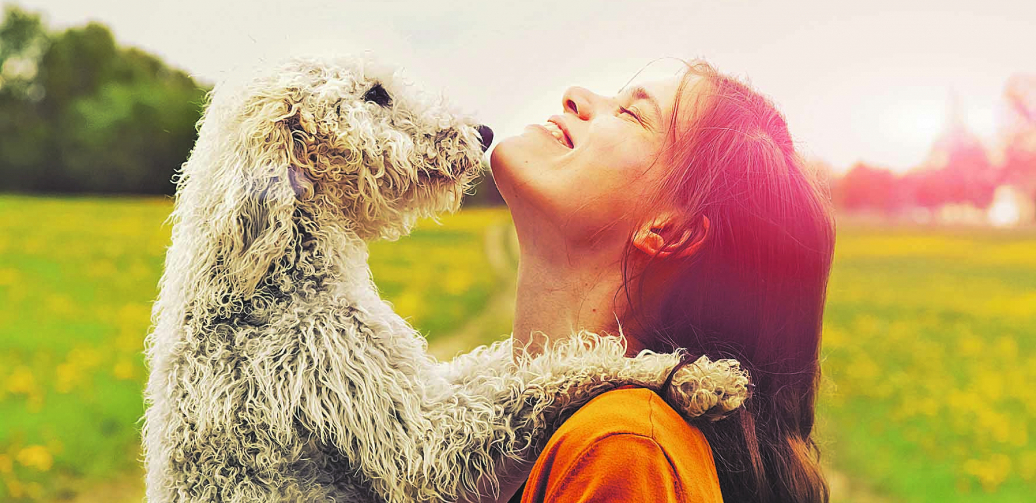 Pozitivna osobina: Ako radite ovo sa vašim ljubimcem, to je znak inteligencije