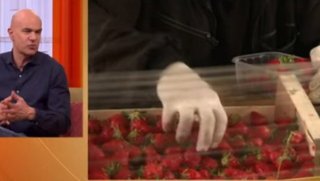 JAGODE I SPANAĆ SU "NAJOTROVNIJI" Doktor Saša Plećević otkriva koji je jedini ispravan način pranja voća i povrća