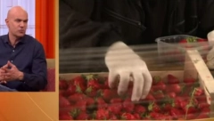 JAGODE I SPANAĆ SU "NAJOTROVNIJI" Doktor Saša Plećević otkriva koji je jedini ispravan način pranja voća i povrća