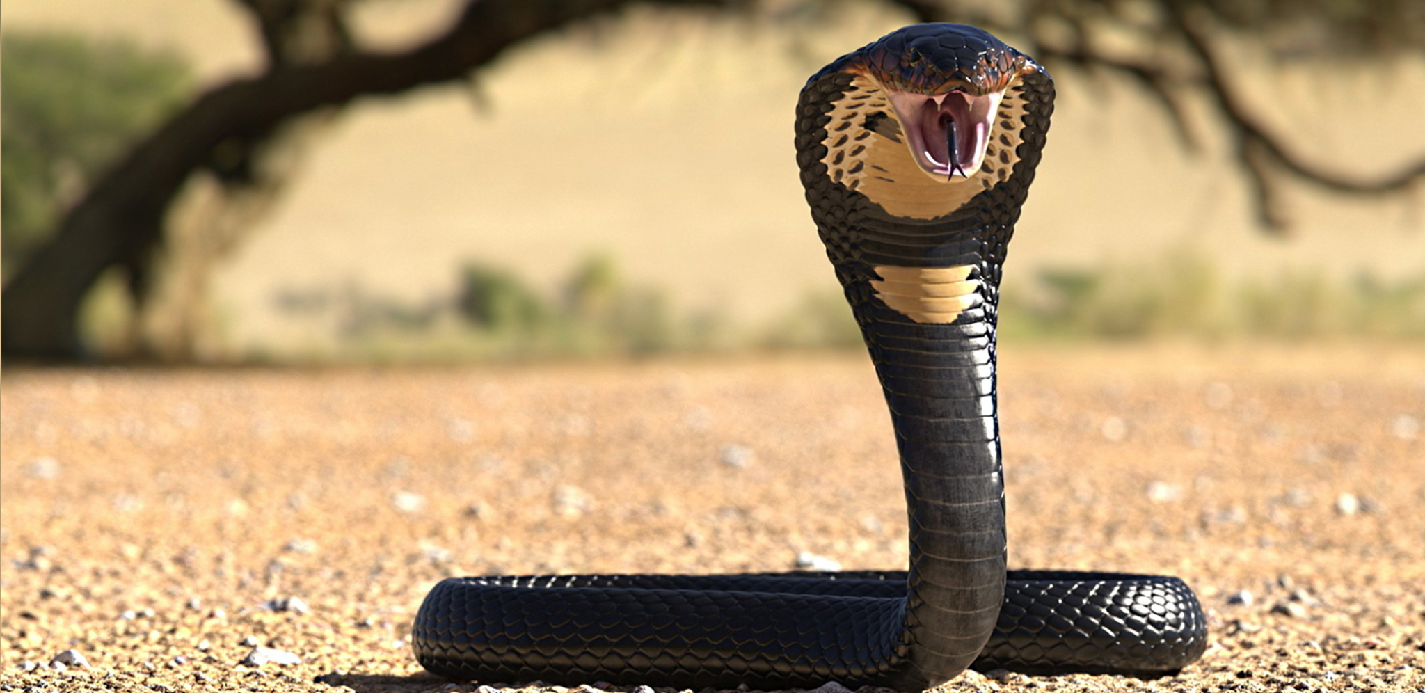 "OD OVE NEMA PROTIVOTROVA" Ovaj grad važi za zmijsko gnezdo, dolazite na sopstvenu odgovornost