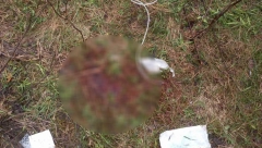 DVA MLADA ŽIVOTA UGAŠENA NA STRAVIČAN NAČIN Tragedije obeležile nedelju pred Vaskrs! (FOTO)