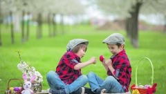 TOP 5 U SRBIJI Alo! vam predstavlja najbolja mesta za jednodnevni izlet tokom uskršnjih praznika: Lepa li je ova Srbija!