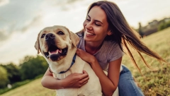 PODMUKLO OBOLJENJE Bolest srčanog crva je ozbiljan problem koji prenose komarci