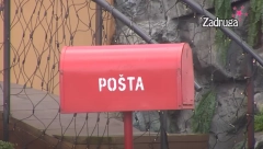 OGLASILA SE PRODUKCIJA Očekuje se pismo od velikog šefa, zadrugari neće znati šta ih je snašlo