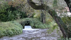 U SRBIJI IZVIRE JEDNA OD NAJKRAĆIH REKA U CELOJ EVROPI Poseduje sve ono što imaju i one mnogo veće (FOTO)