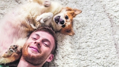 Verovali ili ne, i kuce imaju smisao za humor, ali to nije jedini razlog zašto nas toliko zabavljaju