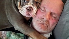 DOK JE SPAVAO PAS MU IZGRIZAO PRST Probudio se u lokvi krvi, a danas mu je zahvalan