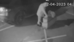 SRAMNA KRAĐA U BEOGRADU Cvetna mafija ponovo hara!