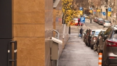 VRAČAR DOBIO NOVOG STANOVNIKA Voli da sunča, i mnogo je lep