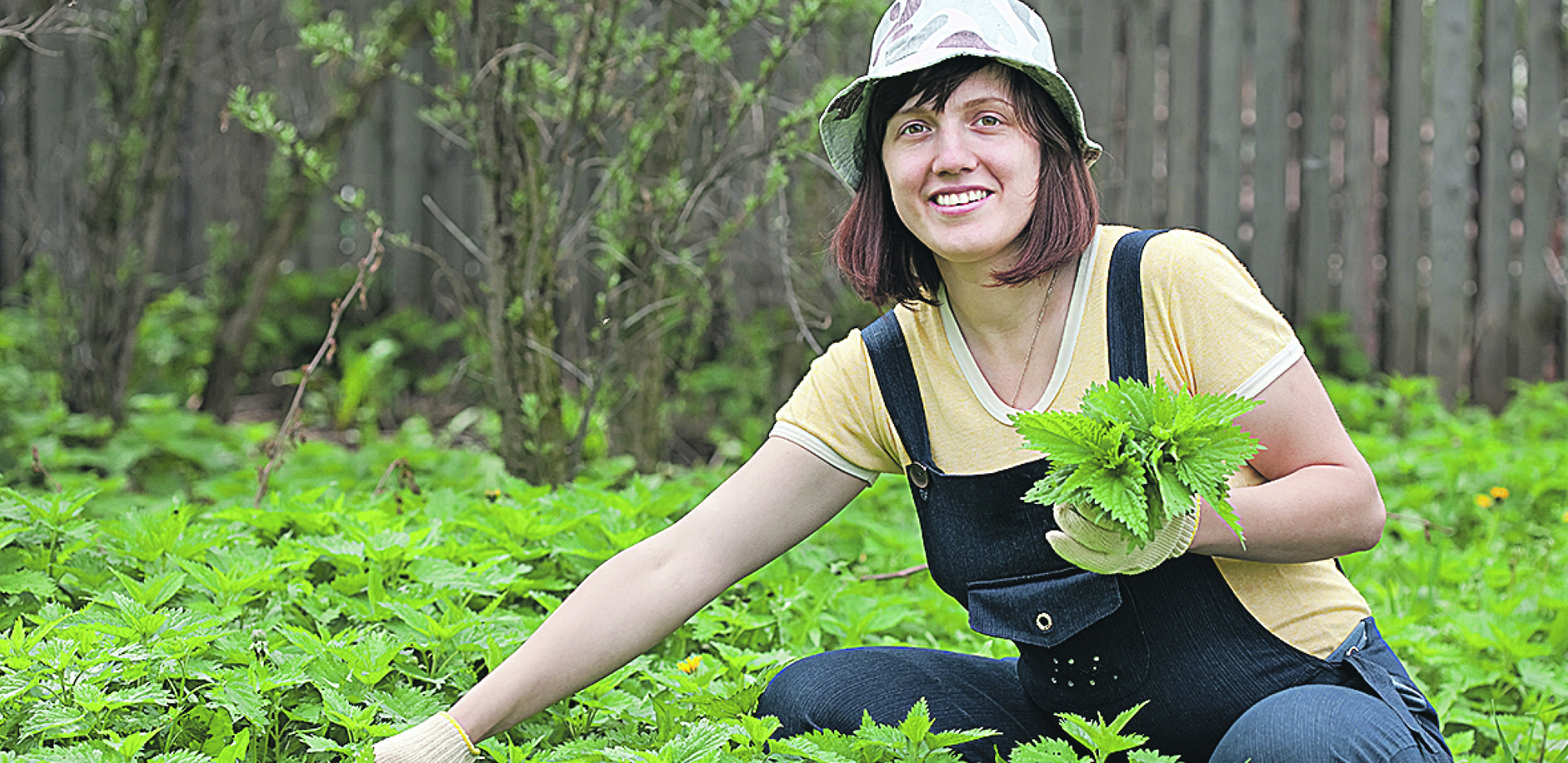 KOPRIVA JE MNOGO ZDRAVA Zeleni superprah za prolećni detoks i alergije