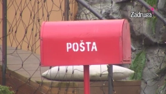 HITNA ODLUKA VELIKOG ŠEFA Ovo petoro Zadrugara će morati da napuste rijaliti!