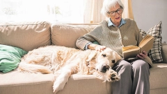 Ljubimac vam je dezorijentisan, zbunjen i pogubljen - možda pati od DEMENCIJE